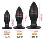 Big Anal Plug - Image 2