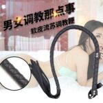 Leather Whip - Image 3