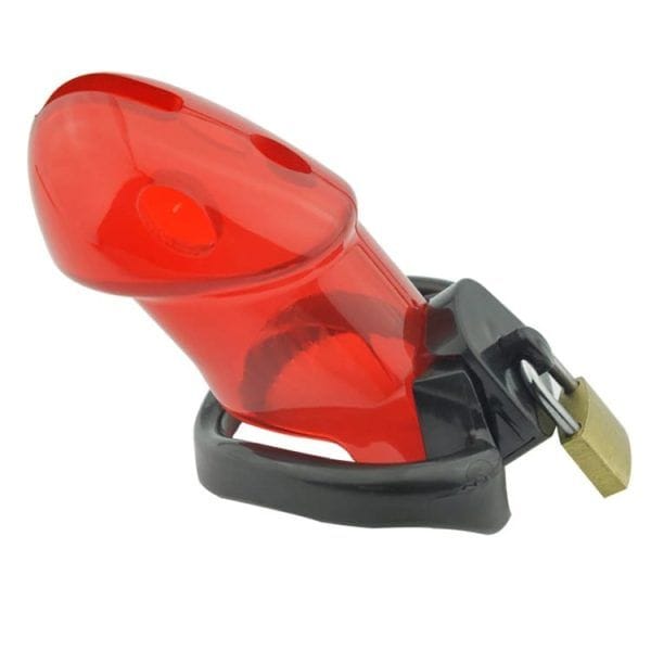 16468973822020100819392779-600x600jpg.jpg Chastity Chastity Bird Cage -Set - Image 1