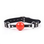 Locking Ball Gags