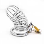 Chastity Lock