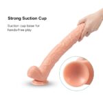 16.8inch Longer Dildo - Image 3