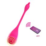 vivid APP vibrating egg - Image 3