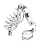 Chastity Lock - Image 3