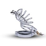 Chastity Lock - Image 5