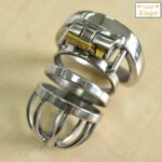 Chastity Lock - Image 4