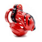 3D Chastity Lock - Image 2