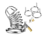 Chastity Lock - Image 11