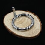 Chastity Lock - Image 6