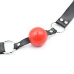 Locking Ball Gags - Image 7