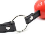 Locking Ball Gags - Image 4