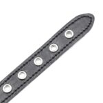 Sexy Bra(PU Without Nail) - Image 8