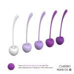 Kegel Ball 1 - Image 5