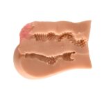 Spread Eagle Sally - Image 4