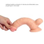 Small Leilong PVC Dildo With Balls And Suction Cup - Image 7