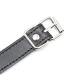 Sexy Leather Rivet Bra - Image 8